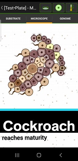 Cell Lab University on TikTok