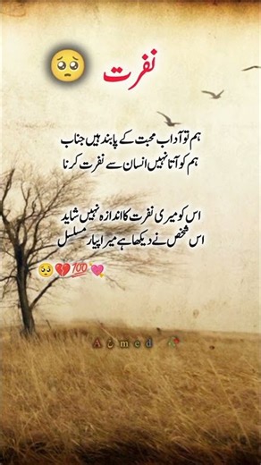 Nafrat Urdu Poetry 💘 #shorts #shortsfeed #urdupoetry #shayari