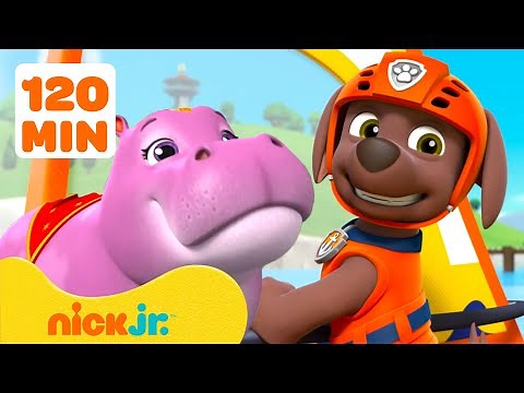 PAW Patrol Zuma’s Water Animal Rescues & Adventures! #3 | 120 Minutes | Nick Jr.