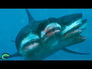 10 OF THE RAREST SHARKS HIDING IN THE OCEAN!