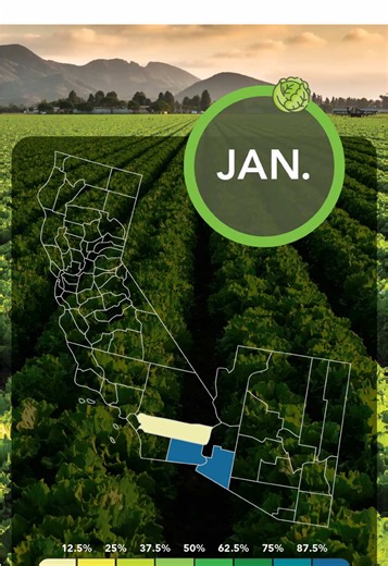 Discover exactly where your lettuce comes from throughout the year! ☀️ The diverse climates of the Southwest make sure we can enjoy fresh American-grown produce all year long. #agtech #advocateforagriculture #westerngrowers #arizonagrown #arizonaag #futureoffarming #farmtourswithcory #farmfacts #advocate #advocateforagriculture #usaagriculture #YCEDA #yumafreshvegetableassociation