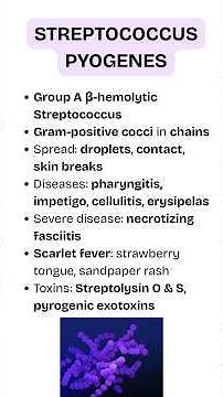 Streptococcus pyogenes: The Flesh-Eating Bacteria