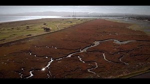 This week on 98FM Motoring, Luke reviews the Audi A6. | 98FM