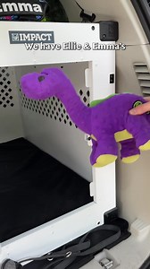 2.3K views · 315 reactions | Attention dog owners! Get a special 25%...