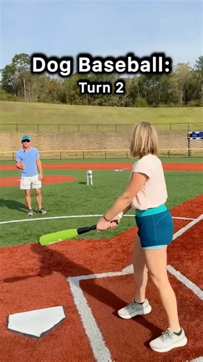 Dog Plays Baseball with Humans