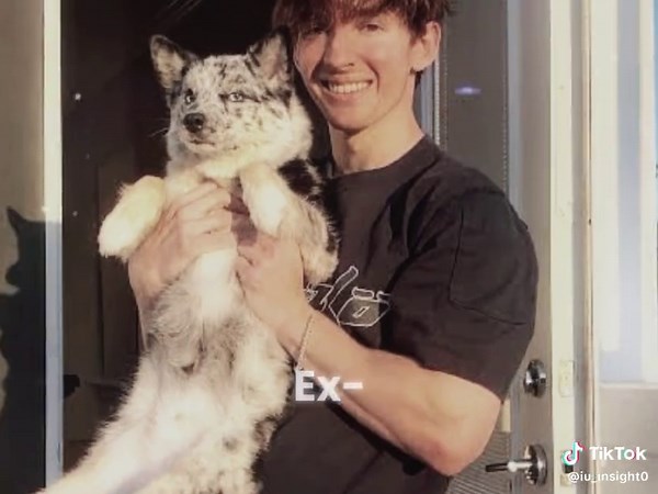 We back with the albert edits #flamingo #albertaretz #flamingoedit #fyp #viral