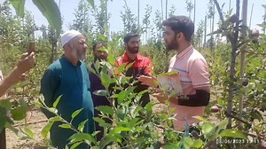 2.9K views · 136 reactions | our aim is to touch the every corner of kashmir valley. Today at Budgam | Green Horticulture Kashmir | Facebook