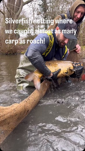 Well that was a fun ‘silverfish’ netting! We caught we caught almost as many carp as we did silverfish! #carpfishing #lakenetting #carp #springcarp @hooklakecarp | Richard Stangroom
