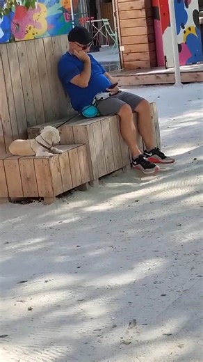 Montreal Undercover Police