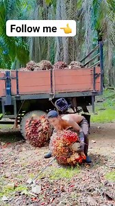 1.8M views · 10K reactions | Follow me 珞 | Niyaz Ahmad | Facebook