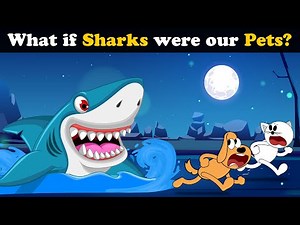 What if Sharks were our Pets? + more videos | #aumsum #kids #children #education #whatif