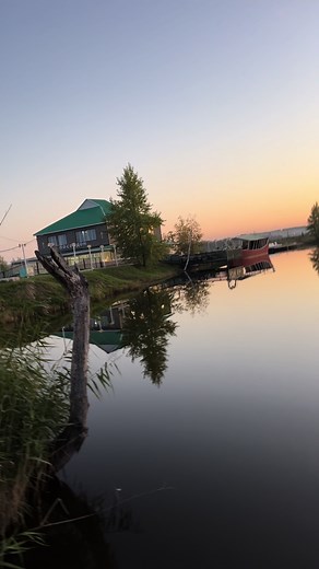 Exploring Shinji Hirako's Bankai in Bleach Anime