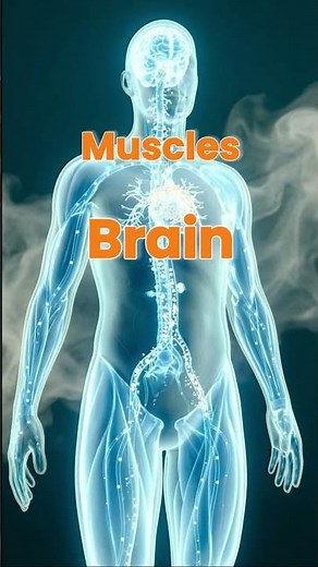 Fructose vs Glucose & The Mechanism of Fatty Liver