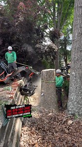 👷‍♂️Removing Dead Trees and Dangers (Second Job) 📍Dacula, Georgia 🗣️Call us right now and get a #freeestimate ☎️(678) 457-3487 {GA} ☎️(706) 496-9237 {SC} ✅Fully Insured ✅licensed . . . #treeservice #arborist #treework #treeremoval #treecare #treelife #treesurgeon #trees #arblife #stihl #tree #chainsaw #treeclimber #treeclimbing #arboriculture #treecutting #arboristlife #treebiz #treefelling #logger #treetrimming #logging #treeworker #arboristsofinstagram #treesurgery #stihlchainsaw #forestry 