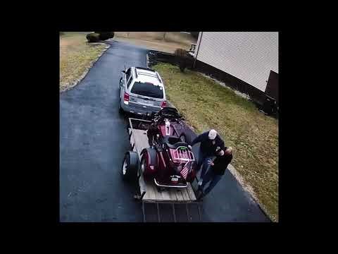 FUNNY FAILS CAT REACT #funny #reaction #cat #fails