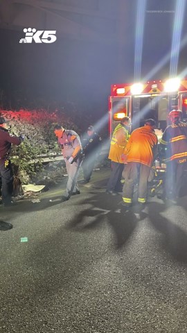 Graffiti tagger falls from overpass onto EB I-90 on-ramp