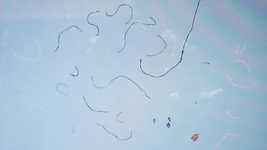 War On Waste: Microplastics - ABC Education