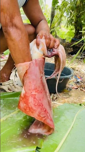 Cleaning Our FRESH Caught Squid! (Easy & Quick Prep!)