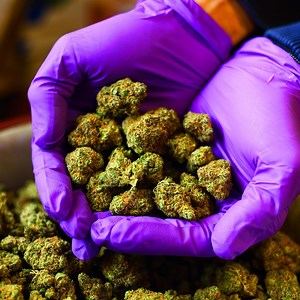 2.1M views · 1.5K reactions | Starting with just $5, you can invest in the legal cannabis industry on Stash. Sign-up today. | Stash | Facebook