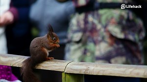 6 Good Reasons to Stop Being The Center of Attention - LifeHack