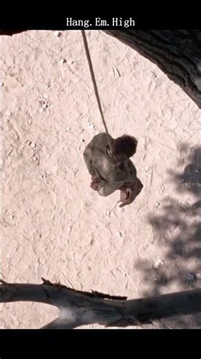 The Hanging Tree (1959) Review: Gary Cooper’s Darkest Western 🤠🌲| A Psychological Gem