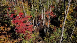 7.6K views · 138 reactions | The 49th annual Fall Forestry and Wildlife Tour brought together landowners, professionals, and community members to explore science-based practices that make a difference across the Commonwealth.  | Virginia Tech | Facebook