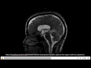 Osteopathy in the Cranial Field