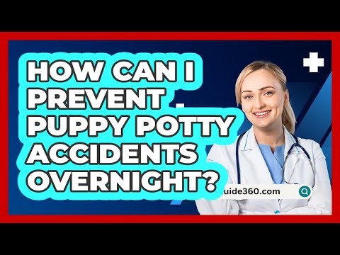 How Can I Prevent Puppy Potty Accidents Overnight?