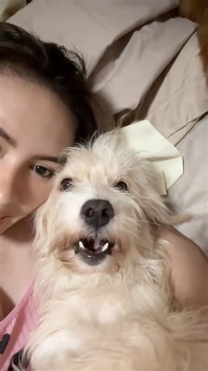 Hey bebu Snow, tomorrow's New Year and yes, I know Palupok (that silly thunder-like boom) and fireworks are coming. But you've got me right here, okay? No need to hide under the bed.🐾 And look, she's actually listening with those big, soft eyes like she gets it. My brave little heart, ready to ring in 2026 with me (even if she'll probably still nudge my hand for extra cuddles when the first pop goes off)🥺 This is a reminder also to make sure all your furbabies is kept safe & secure kay damu na