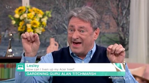 Alan Titchmarsh explains how to prune an Acer tree