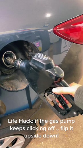 Duedehead333 on TikTok