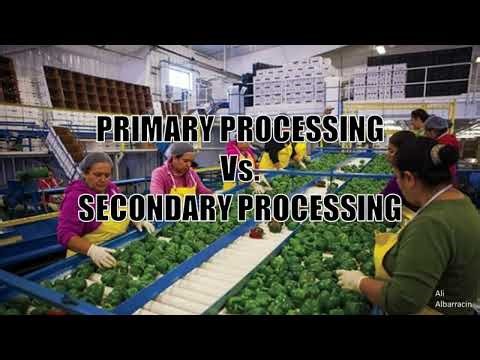 Primary Vs Secondary Processing