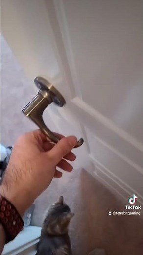 When your door sounds like Yoshi