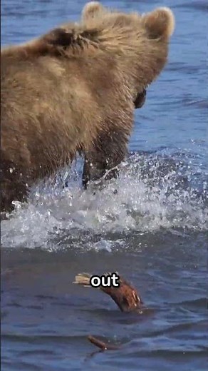 Found the most stunning landscape in Alaska #mountains #glacier #wildlife