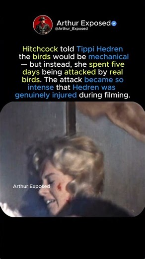 The Real Bird Attack Hitchcock Never Warned Her About
