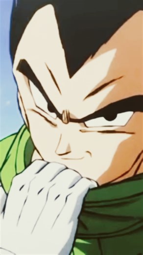 vegeta vs broly of the fight with best others that were previously been informed by all done last ok