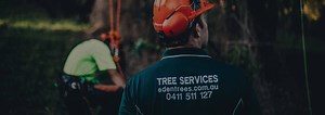 Tree Removal Redland City - Tree Loppers - Arborist Service - Eden Trees