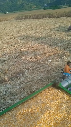 #ช้างศึกพระบาท🐘 #ทีมงานป๋าเหลิม #วัยรุ่นรถเกี่ยว #รถเกี่ยวซิ่ง #ป๋าแก้ว #จ้าวช้างไวไฟ🐘 #ไม่ฟีดเลยท้อ