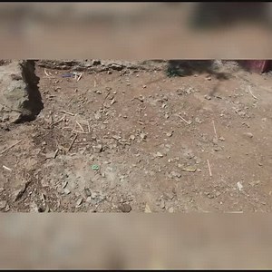 98 reactions | Nyakasumbi Primary School, Siaya County! Another exciting day sharing Kenya’s rich history with primary school pupils through historical films & interactive exhibits. Next stop (tomorrow Feb 12, Ugunja Township Pry). | Presidential Library and Museum | Facebook