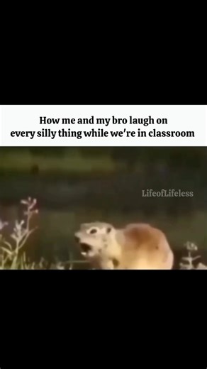 Life of Lifeless on Instagram: "This is exactly how class turns into a comedy show for no reason 😭. Nothing funny is happening, nothing funny was said… but somehow it’s hilarious. One tiny movement, one weird sound, one random thought — and it’s over. You look at your bro and that eye contact alone seals your fate. No jokes needed, no words exchanged, just pure shared stupidity. You’re biting your lips, staring at the desk, pretending to write notes. Meanwhile your shoulders are shaking like yo