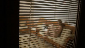 Somebody Spying On Girl Street Through Stock Footage Video (100% Royalty-free) 24614495 | Shutterstock