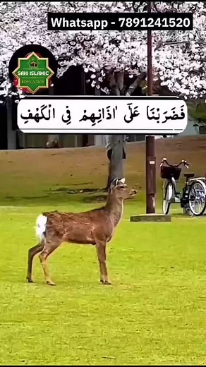 731K views · 19K reactions | Jis bande Ko nind nahin aati | nain____bhatt____786 | Facebook