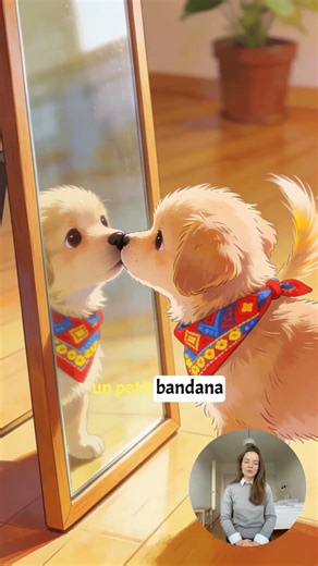 Avez vous déjà vu votre animal incliner la tête en regardant son propre reflet ?