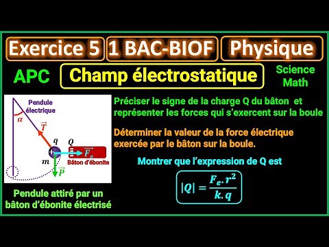 Exercice 5: Champ électrostatique || 1BAC - BIOF