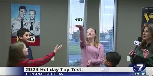 Toy testing with the experts
