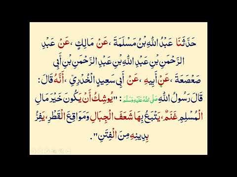 Bukhari Shareef Word by Word Urdu Translation With Grammatical Analysis Lesson: 44 Hadith19