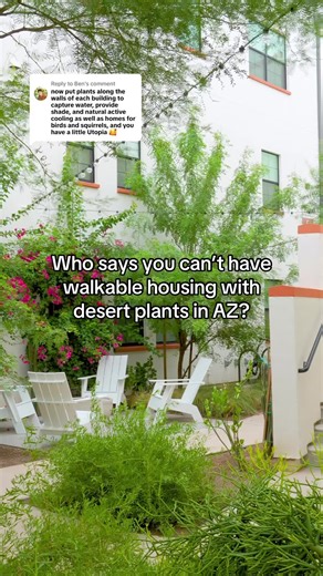 Desert Planted Pathways for Cooler Neighborhoods
