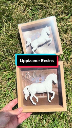 Lippizaner Resin Models Inspired by Spanish Riding School