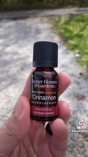 How to repel spiders and ants! | Ceith Griffith