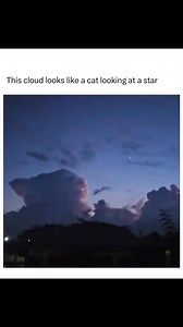 🥹✨ | Astrophile